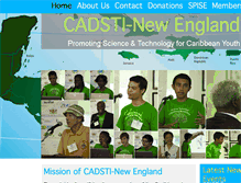 Tablet Screenshot of cadsti-ne.org